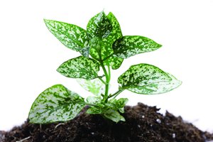 大数据使用技巧：数据监控阈值设置经验